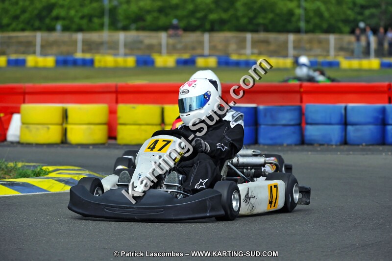 DSC_ (2456).jpg